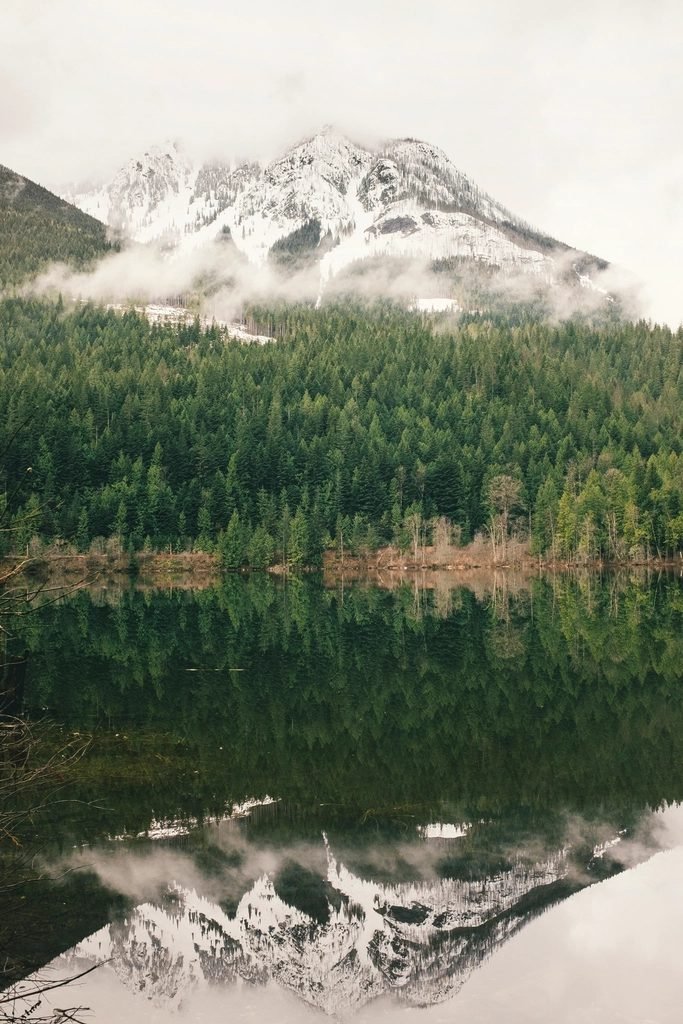 A misty mountain lake in British Columbia, forest reflected in still water